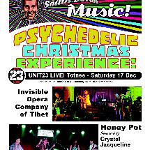 Psychedelic Christmas Experience poster
